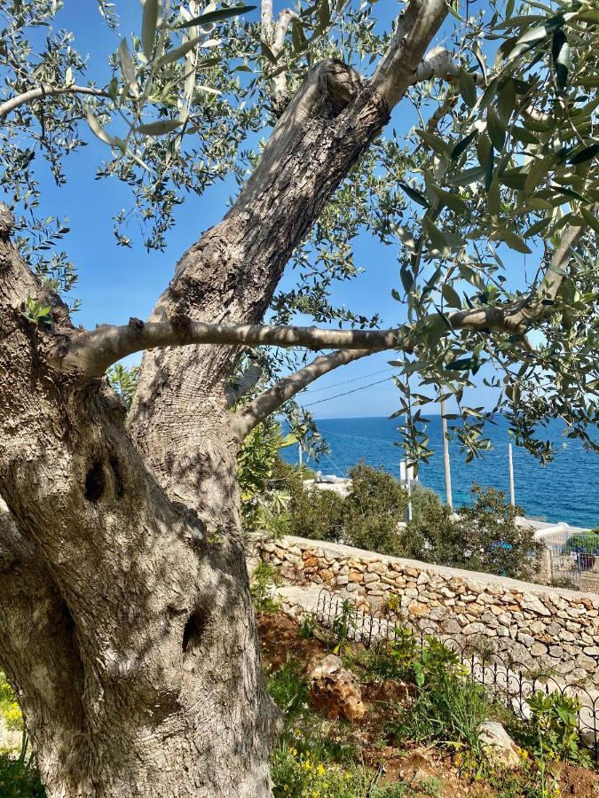 Stone Home - Sea & Landscape Marittima Exterior foto